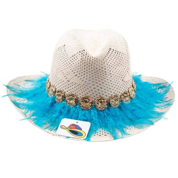 Blue Feathers