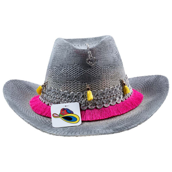 Cowboy Hat Plata y fucsia
